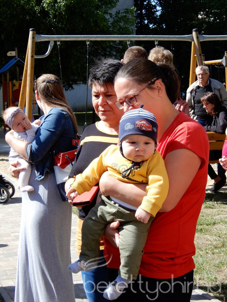 Életfa ültetés a város napján 32